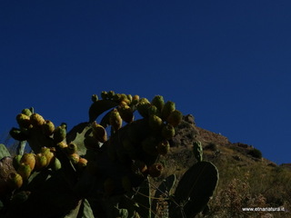 stello Calatabiano-16-08-2019 09-29-23